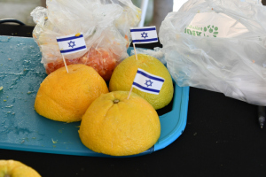 LGM-Oranges-with-flags