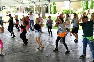 Very-good-line-dancing-movement