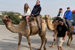TRIP-Camel-fun