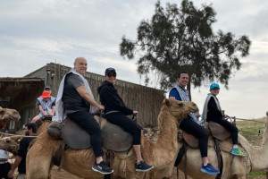 TRIP-More-camel-fun
